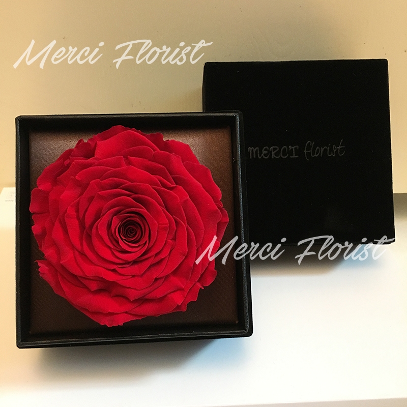 **PFBBR-Red** Preserved Big Rose Box - Red