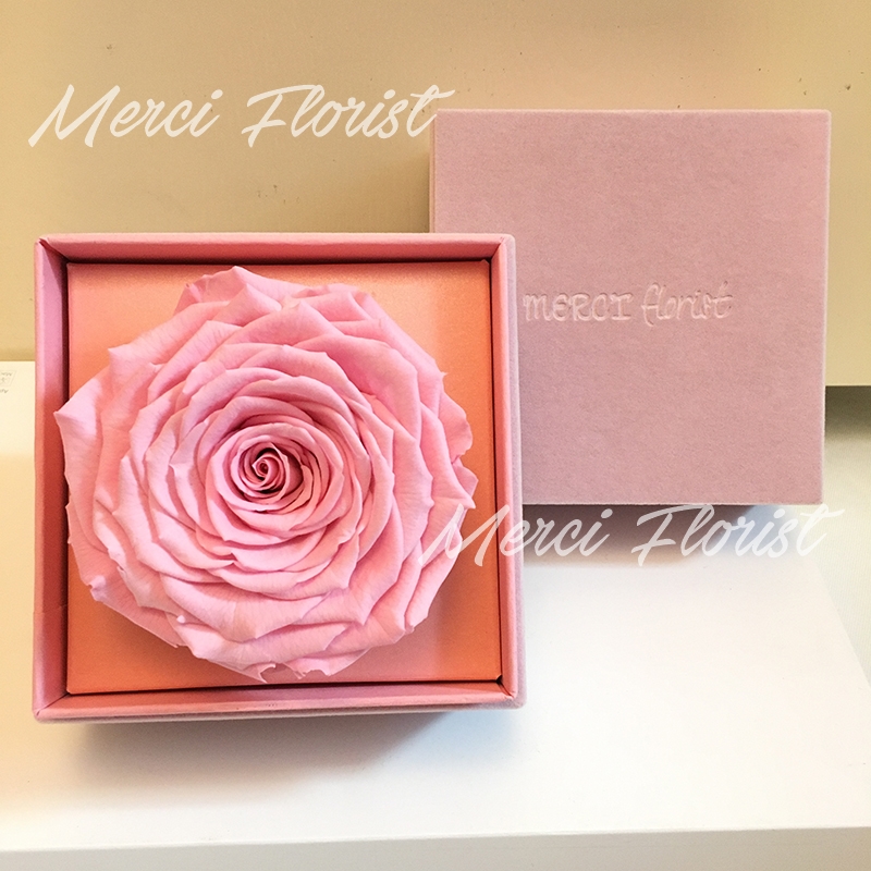 **PFBBR-Pink** Preserved Big Rose Box - Pink